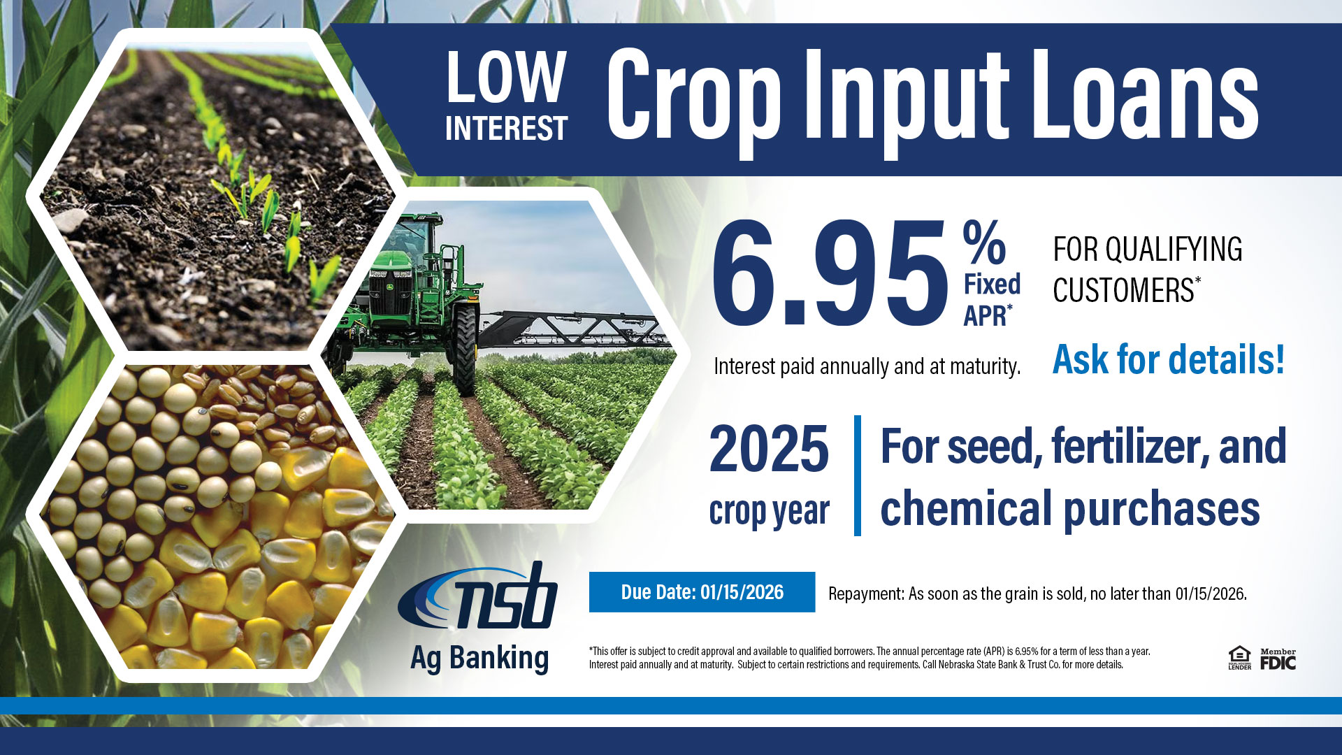 Crop Input Loans